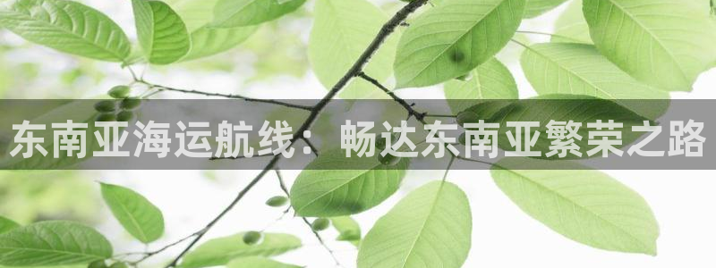 公海 赌船710手机版下载