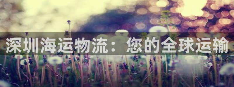 欢迎您来到公海客服
