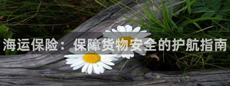 公海赌船官方
