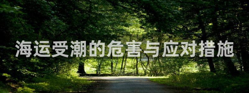 公海赌船官方