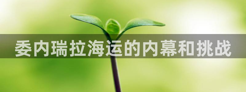 欢迎来到公海手机版710