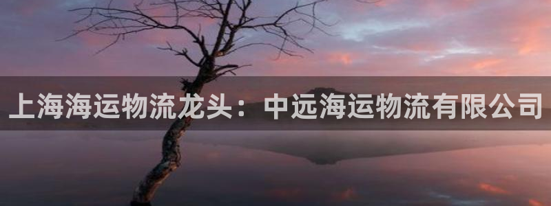 欢迎你来到 公主的海岛