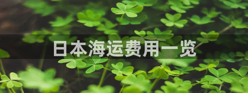 欢迎来到 公园