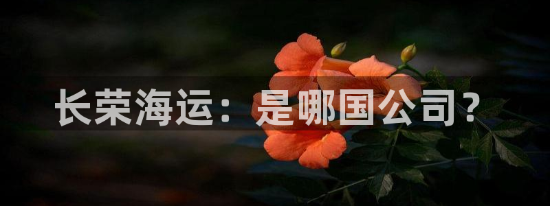 去公海赌博