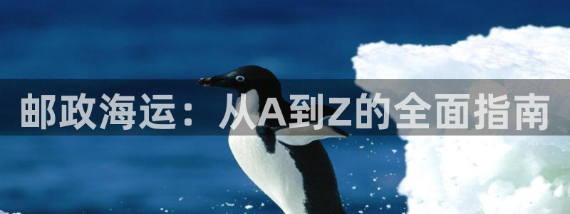 欢迎你来到公主的海岛