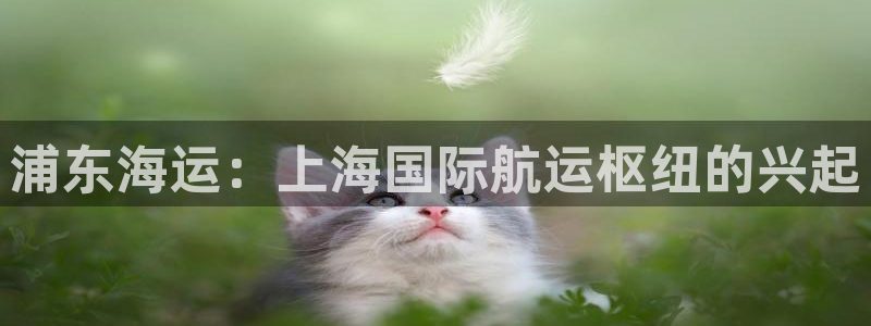 去公海赌博合法吗