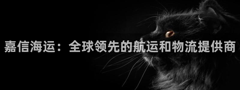 欢迎来到g港