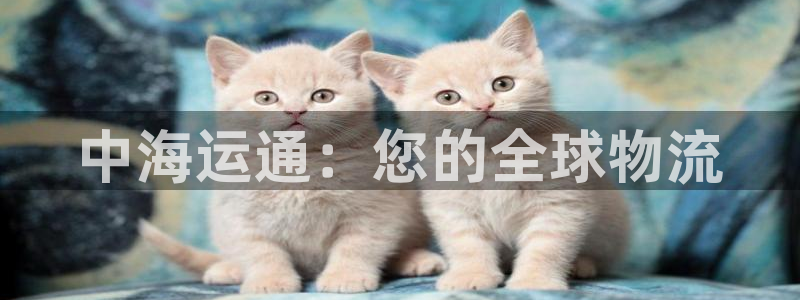 欢迎您到公海赌来