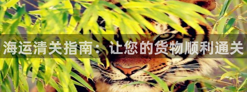 欢迎来到公海7108
