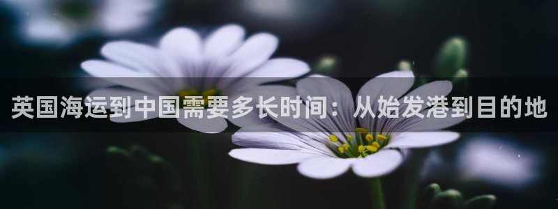 公海赌赌船官网介绍人
