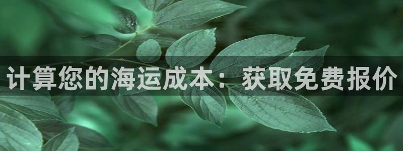 公海赌赌船