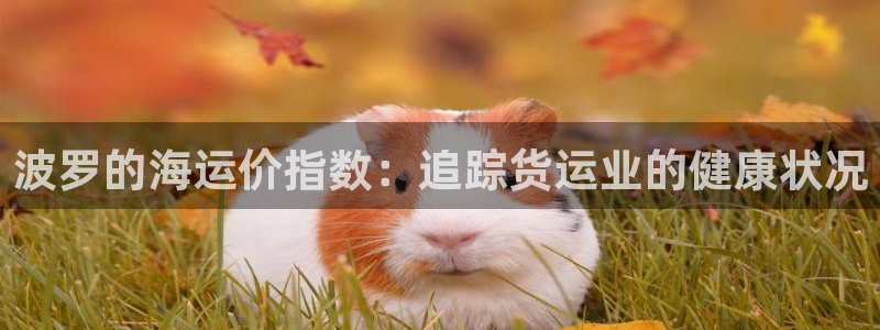 公海欢迎来到赌船