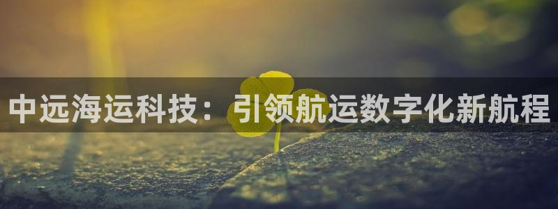 公海赌钱