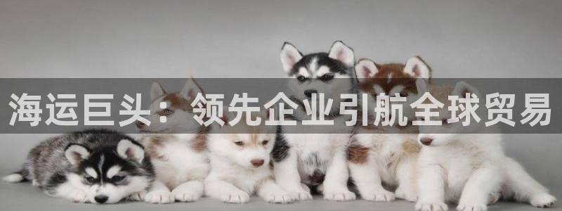 欢迎公海来到赌船710