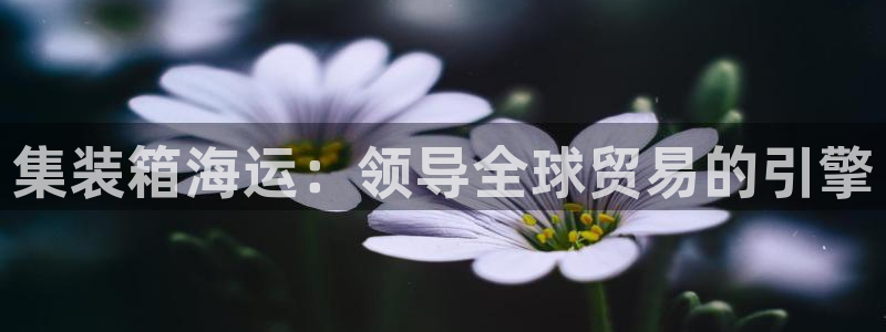欢迎你来到公海710