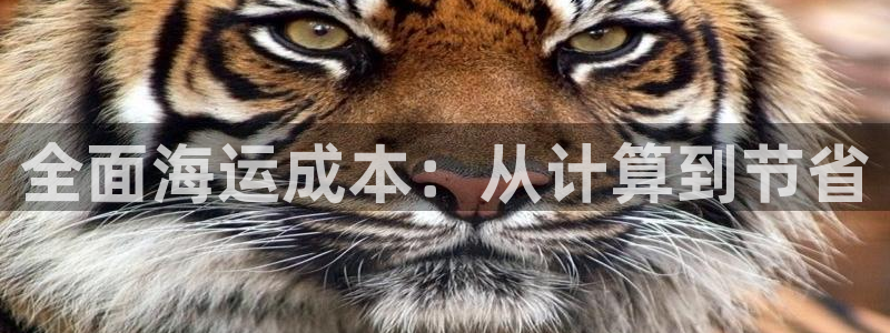 公海赌钱很大吗