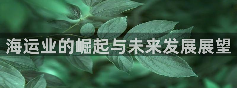 公海赌船吧