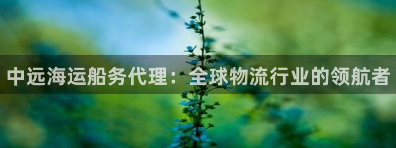 欢迎您来到公海欢迎您来到赌船