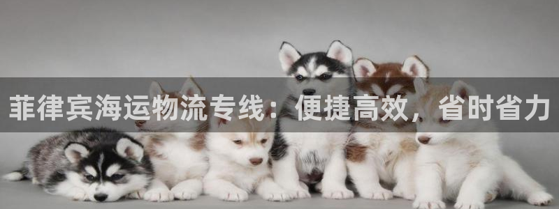 欢迎来到公海710线路是多少