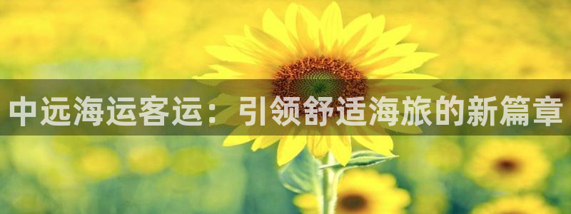 710公海赌赌船有总代理吗