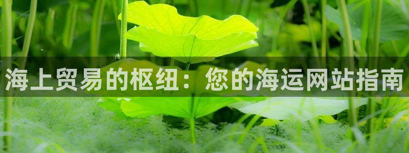 欢迎来到公海欢迎来到赌船