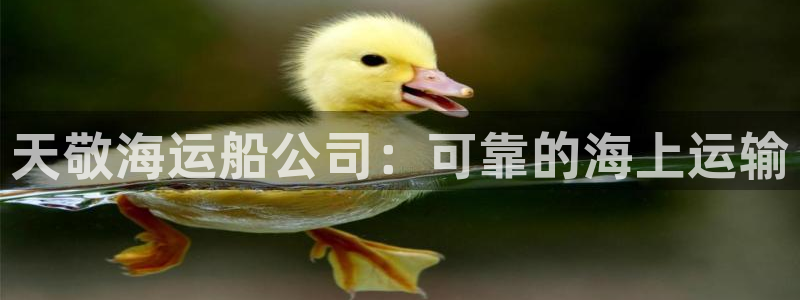 欢迎来到海牛星简谱