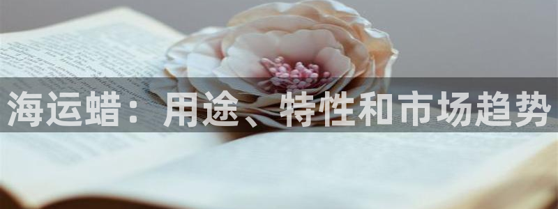 公海赌赌船官网真的吗