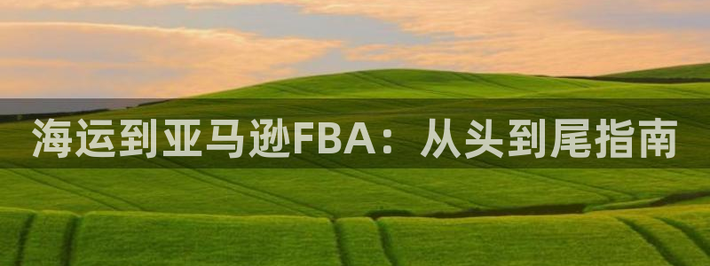 公海赌博怎么处理