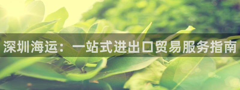 欢迎来到海边