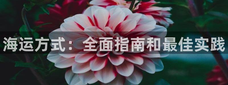 欢迎来到公海.欢迎来到赌船