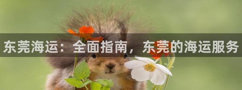 欢迎来公海欢迎来赌船欢迎