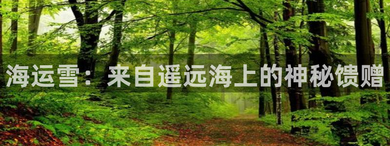 公海赌赌船官网介绍人