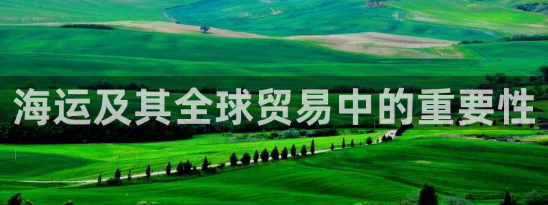 欢迎来到公赌船