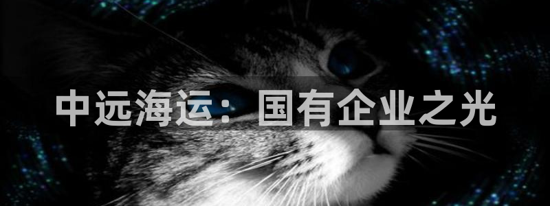 欢迎来到公海710线路是多少