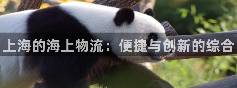 公海赌赌船官网710忘记账号了