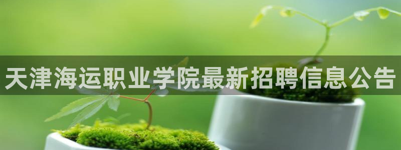 公海赌钱违法吗