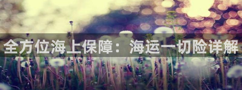 公海赌赌船官网