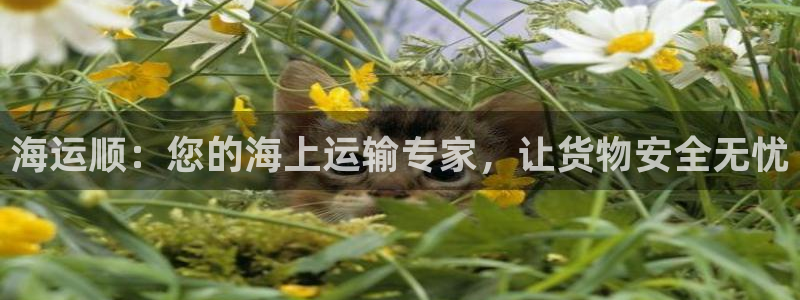 公海赌船怎么样